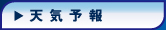 �V�C�\��