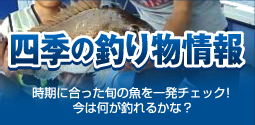 四季の釣り物情報