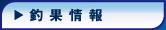 �މʏ��